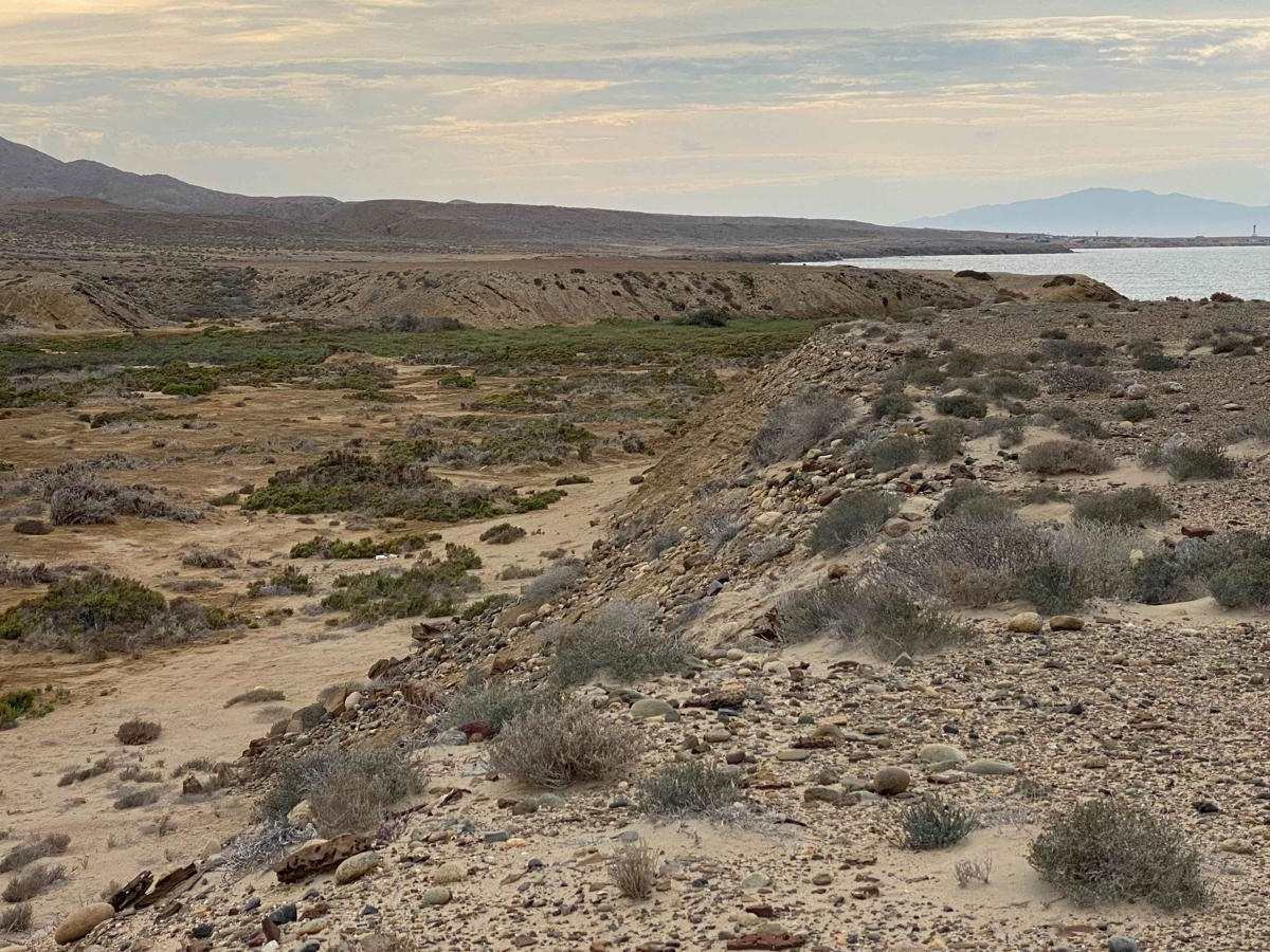 Coastal Route Malarrimo to Campo Chavo photo 6