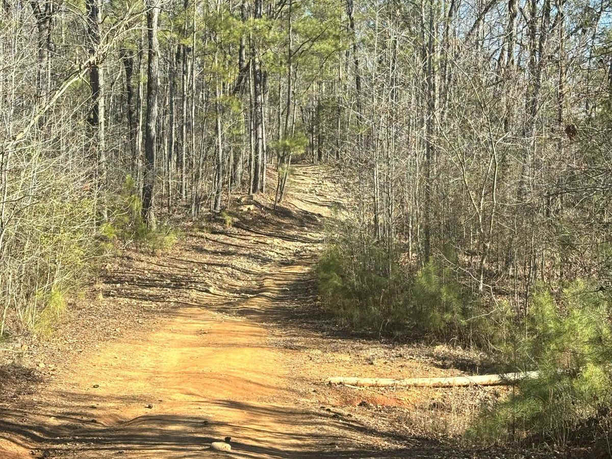 Creek Trail photo 6