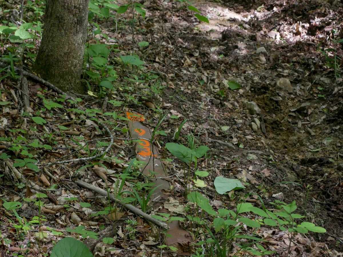 MV903 photo 2
