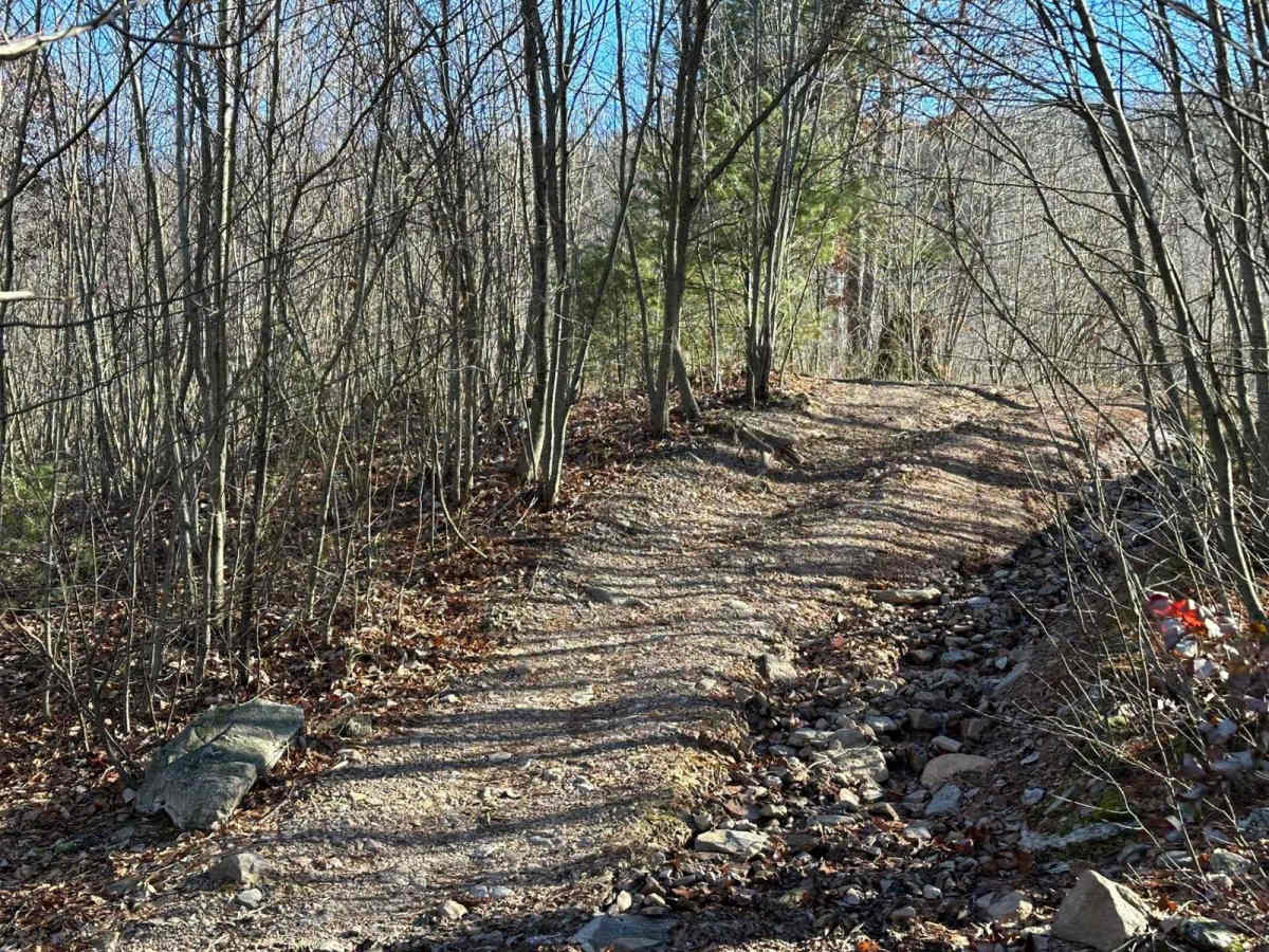 18A Blue East photo 3