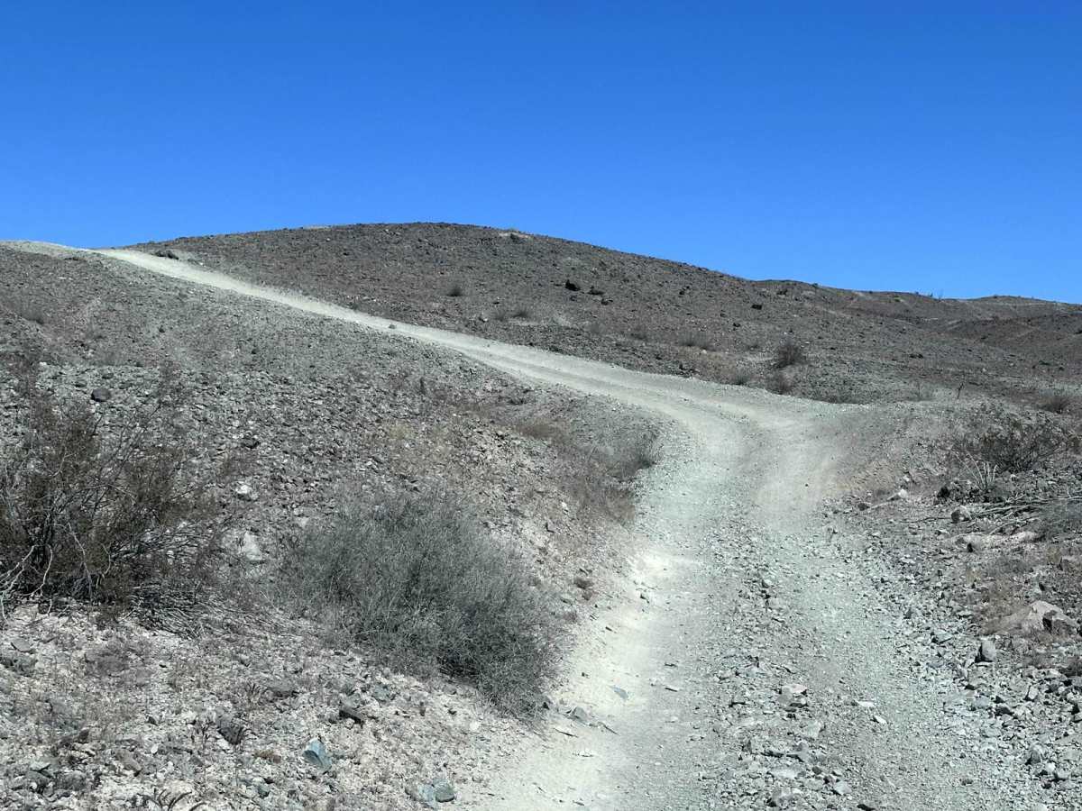 Ryan's Trail trail photo