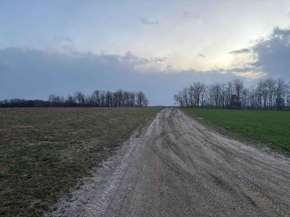 Everett Road photo 4