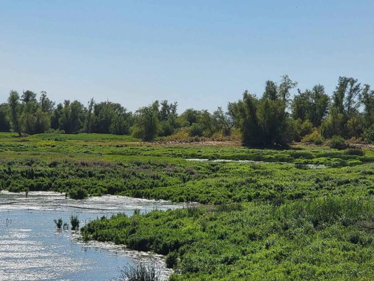 Bird Reserve photo 3