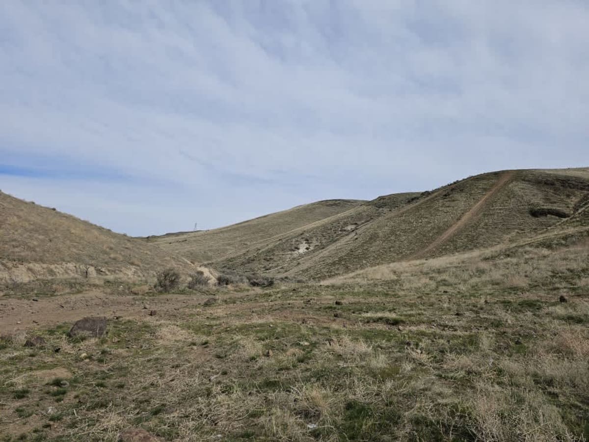 Tumbleweed Ravine photo 4