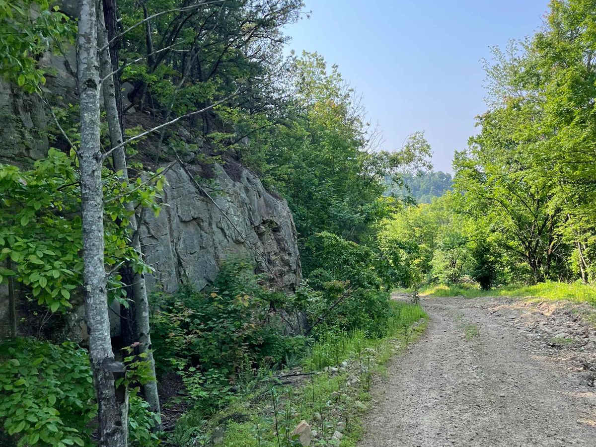 Trail 5 photo 2