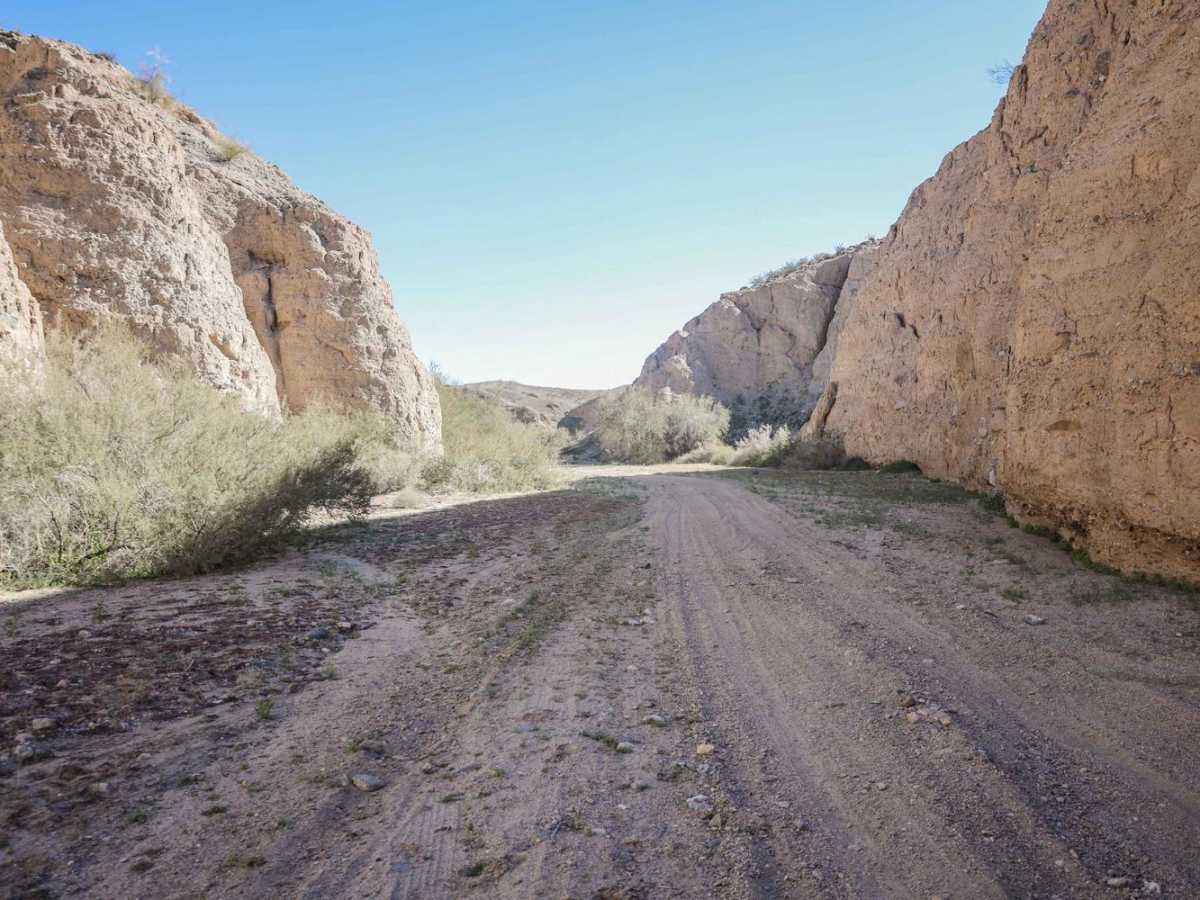 Little Box Canyon Meccacopia Loop photo 4