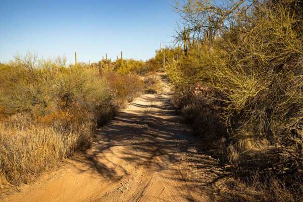 Junction to Middle Mountain