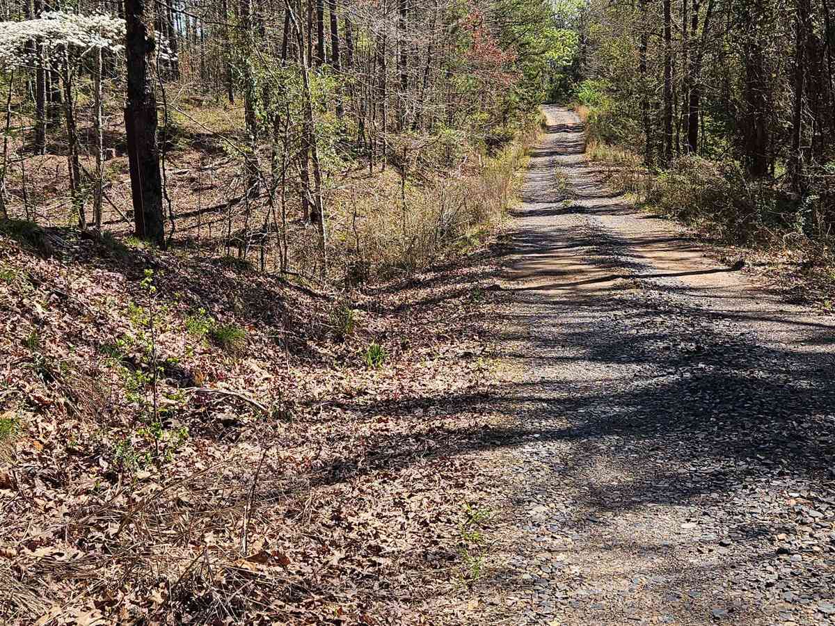 Drew Ridge photo 4
