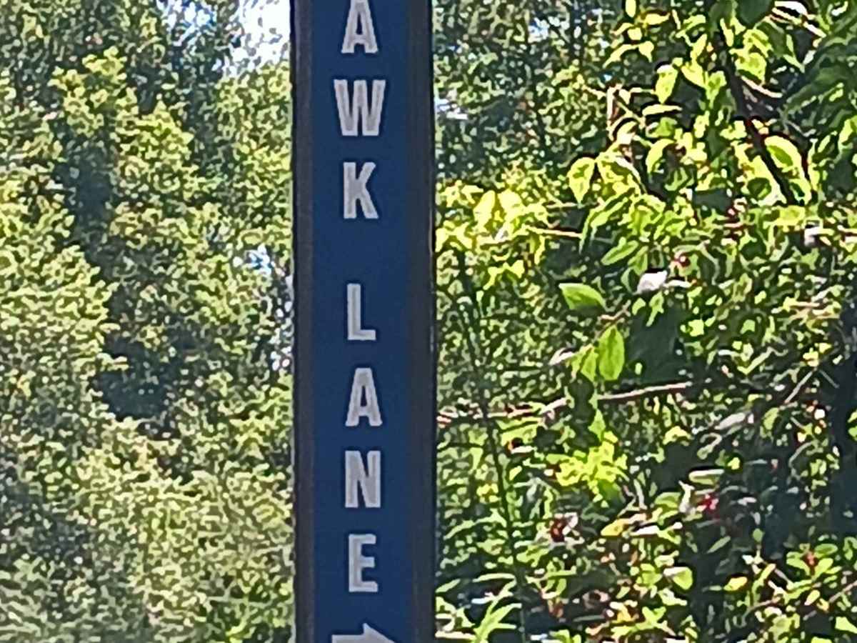 Hawk Lane - Rock Run Recreation Area trail photo