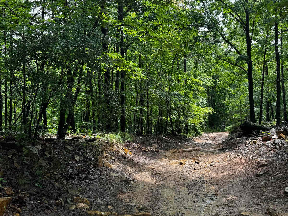 Sawmill Trail 93 photo 3