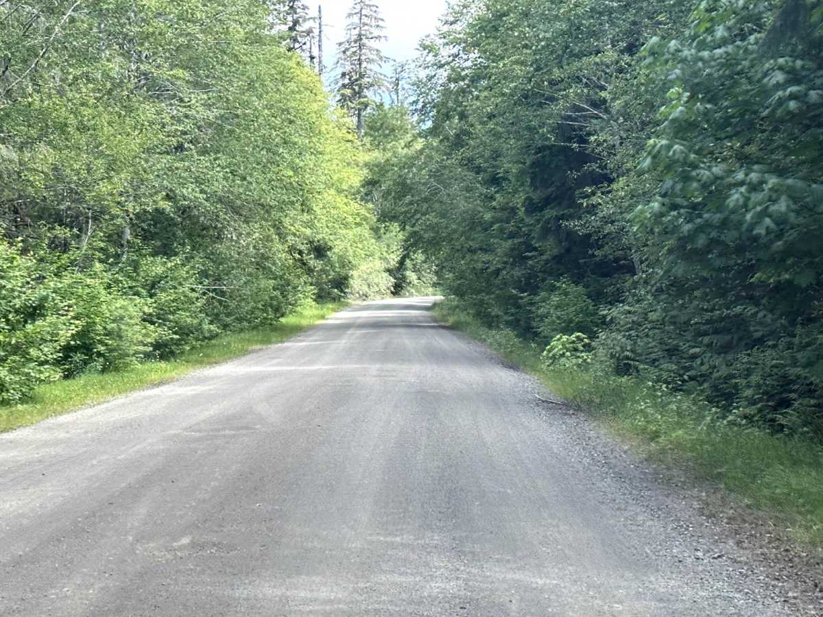 East Wynoochee Lake Trail photo 4