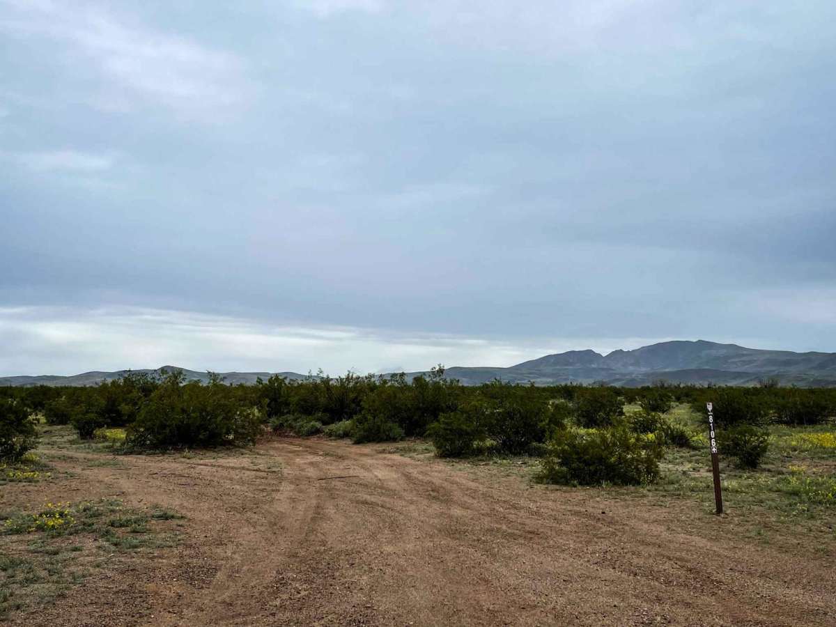 8106 Trail trail photo