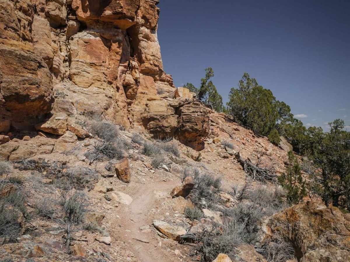 Ewok Village trail photo