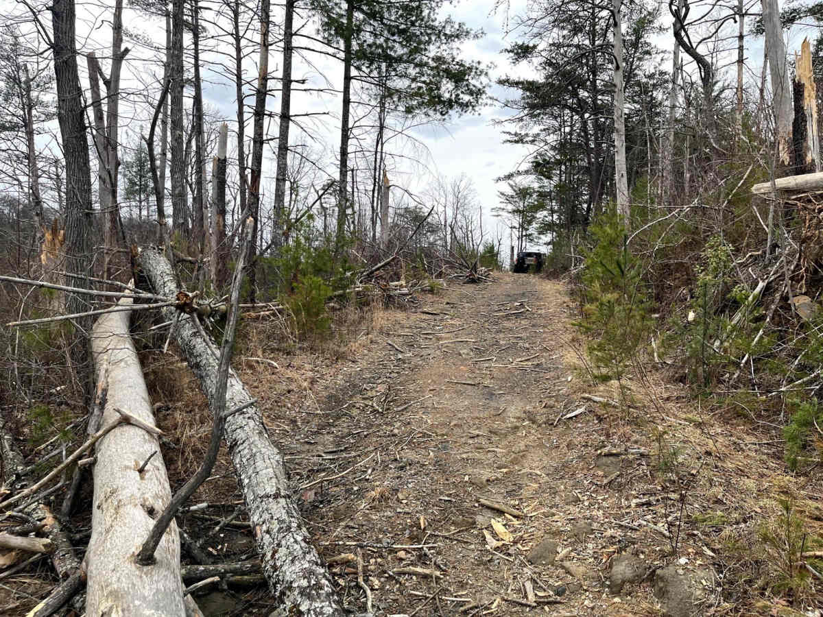 Ditney Mountain (66) photo 4