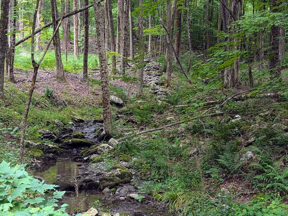 Old Macedonia Road photo 3