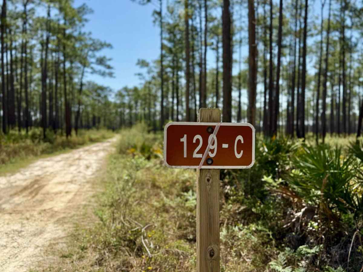 Poplar Branch 129-C trail photo