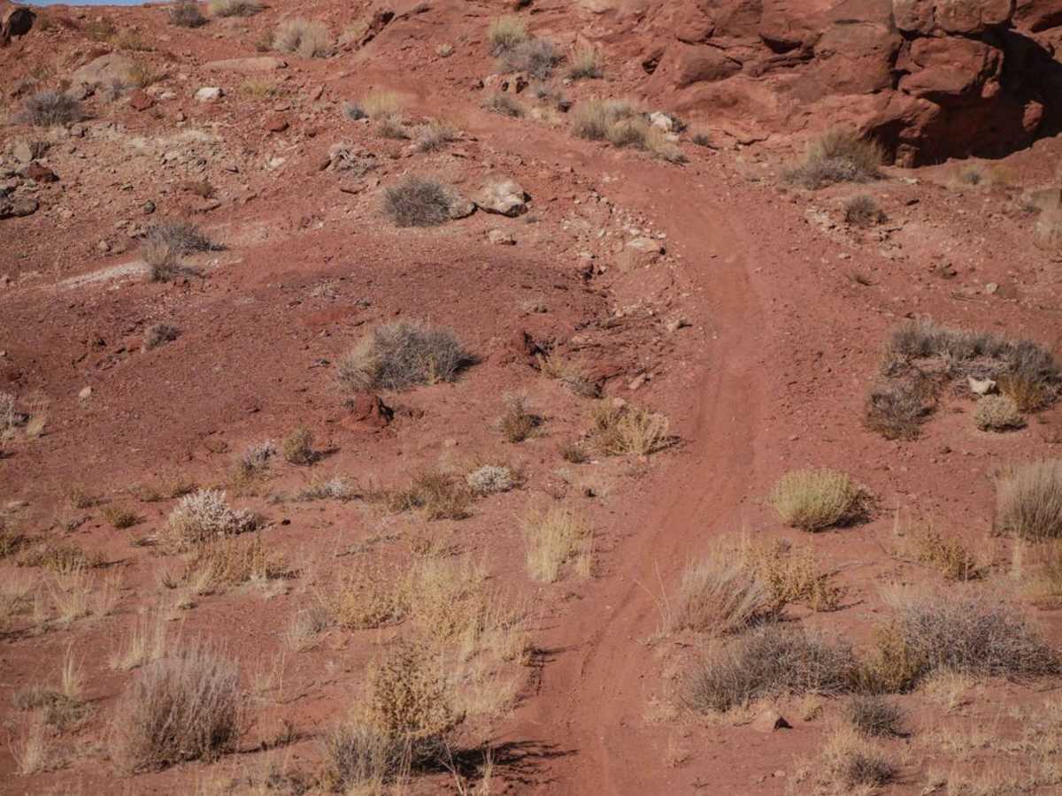 Arch Trail photo 4