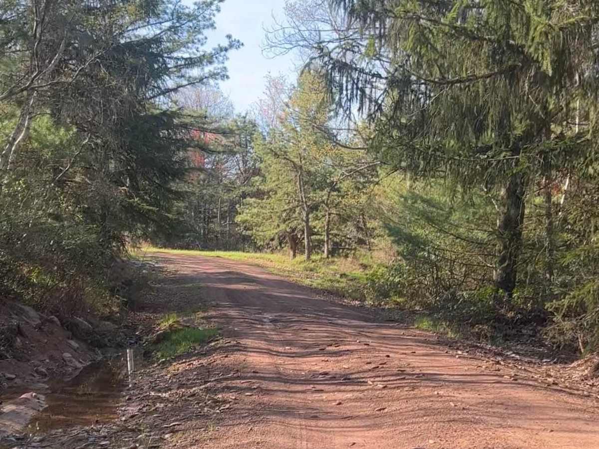 Kellogg Mountain House trail photo