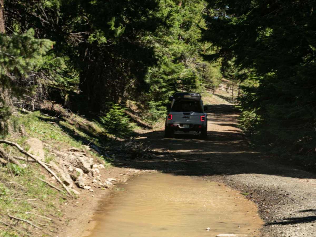 Tamarack Springs photo 3