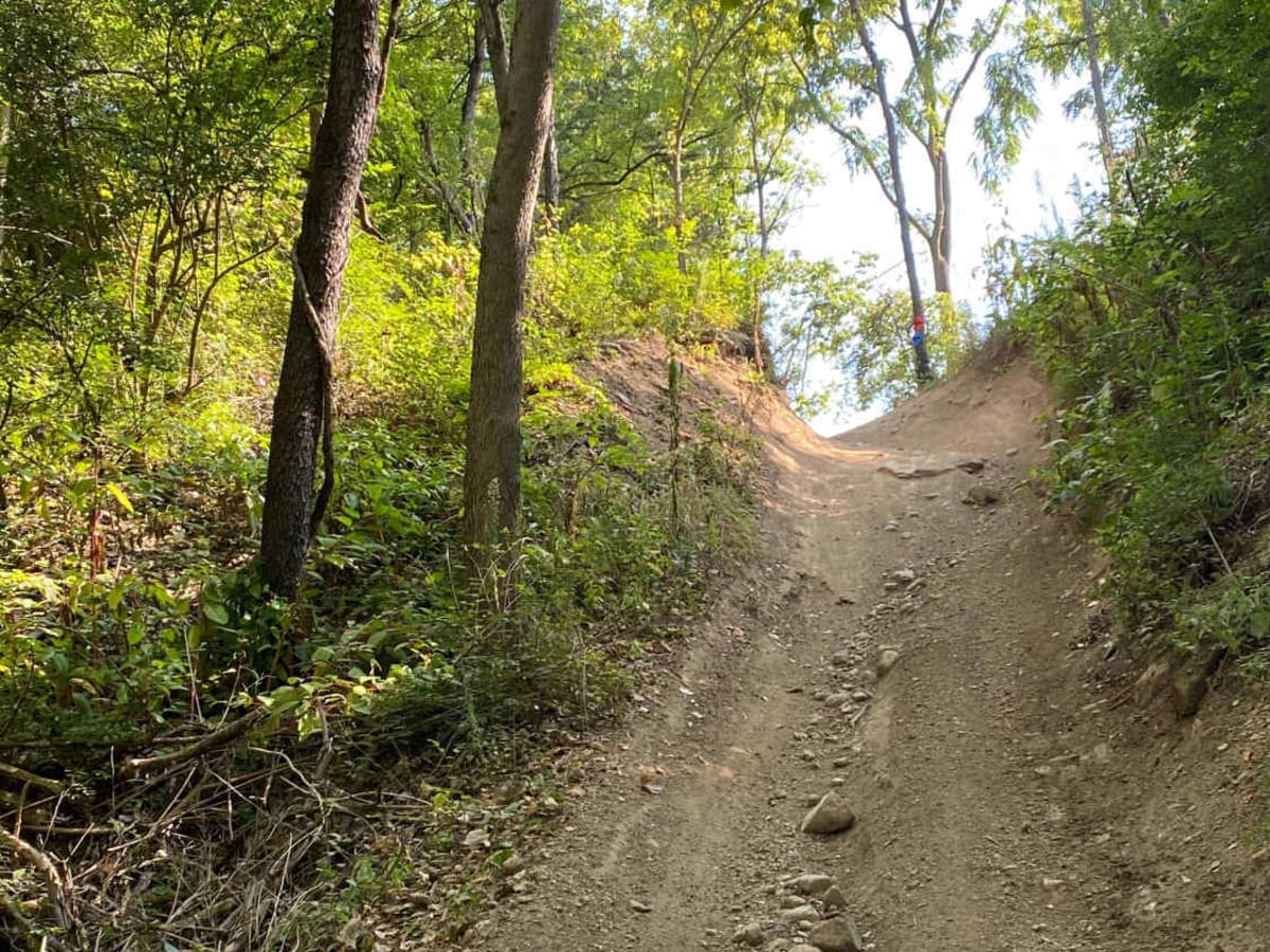 Blue Trail photo 3