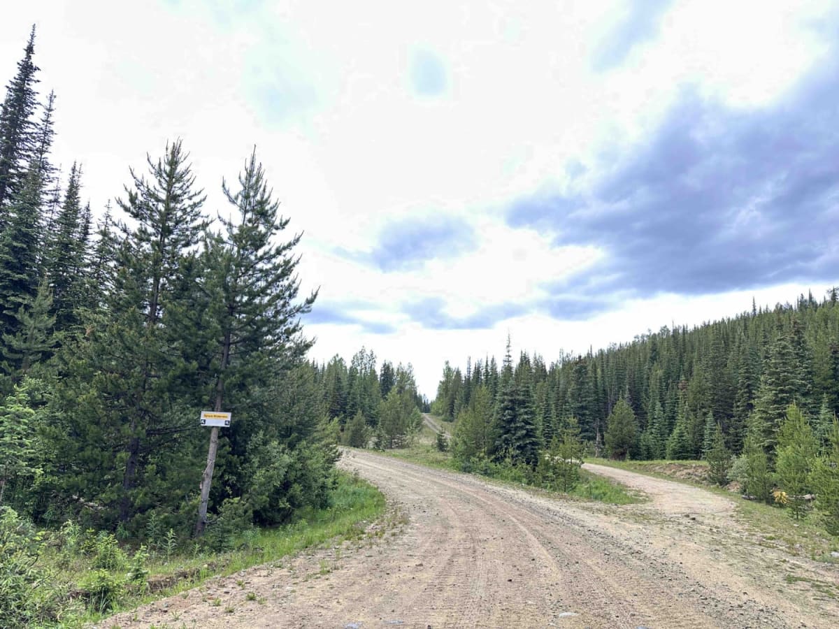 Powder Lake Road to Mayson Lake Horse Camp photo 5