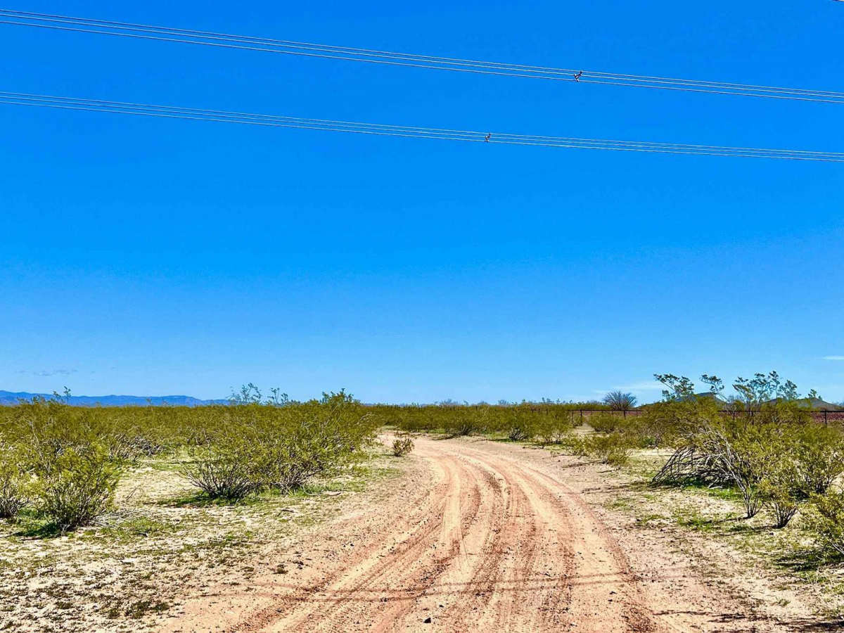 Stockyard Junction photo 4