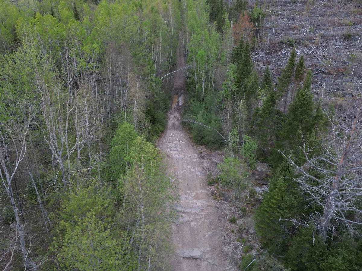 Douglas Clear Cut Bypass photo 2