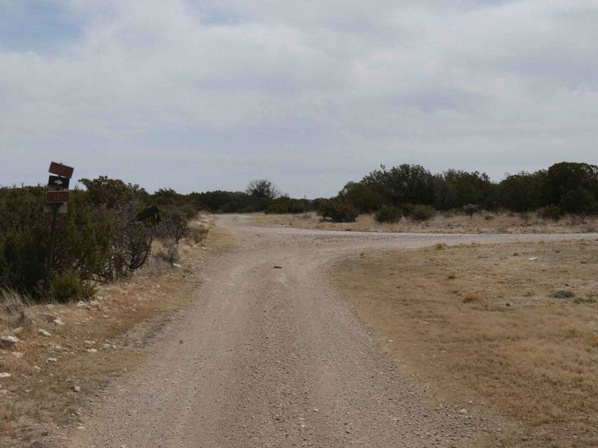 Guadalupe Rim Road photo 6