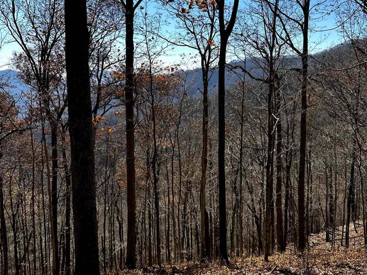 Trail 10 photo 4