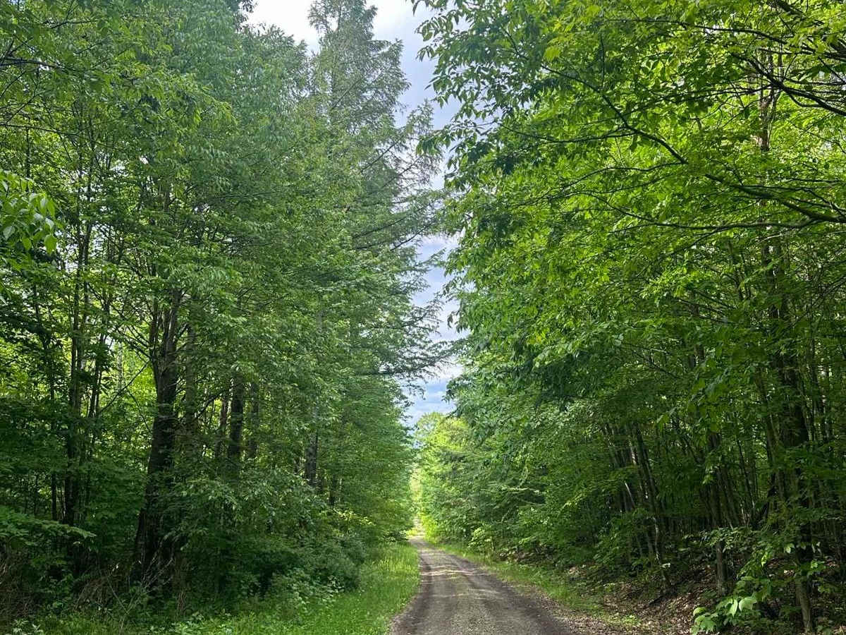 Runner Road (Seasonal) photo 4
