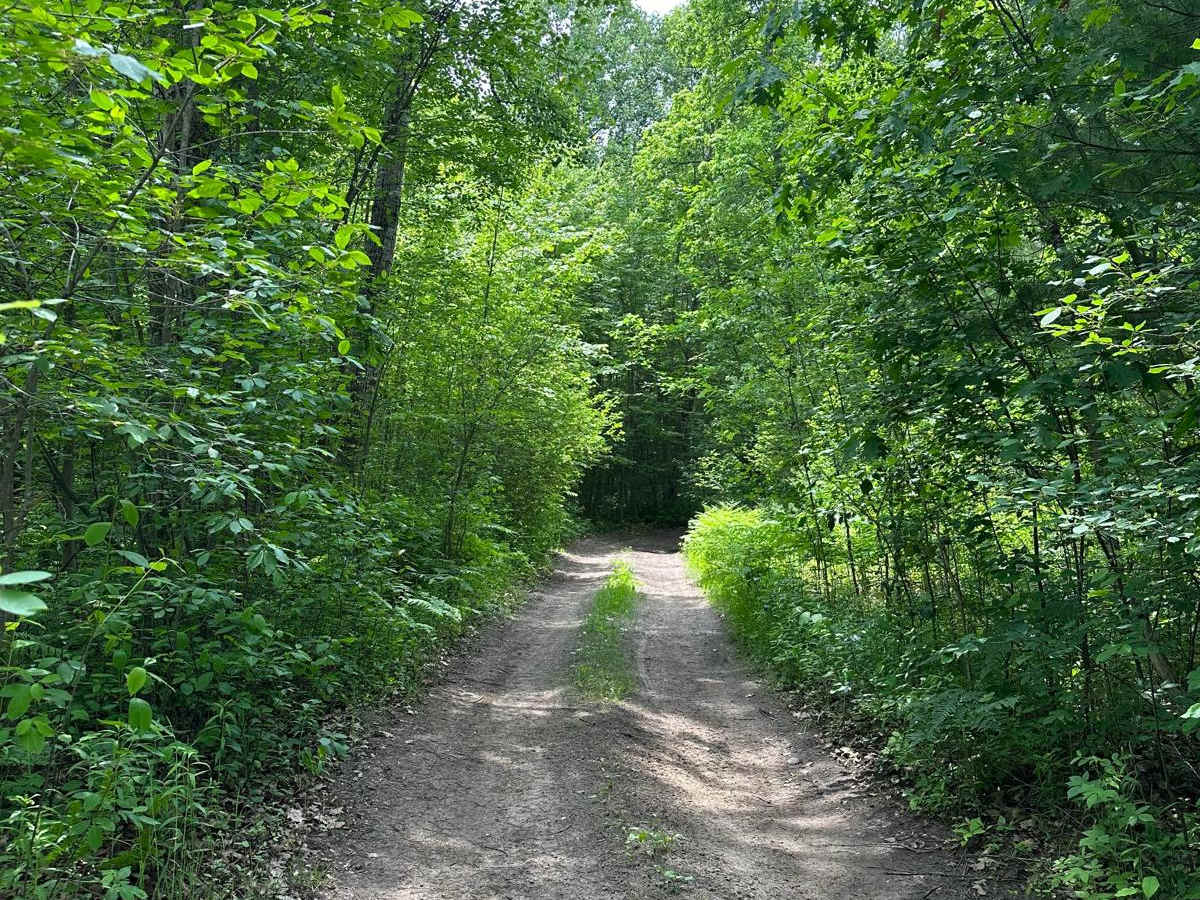 Rail Trail Part 4 trail photo
