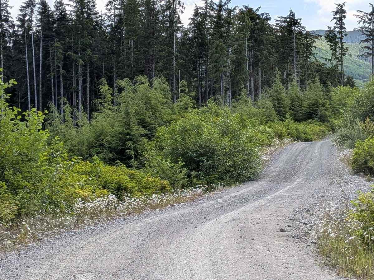 Southeast 2000 photo 4