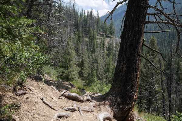 Five Mile Creek