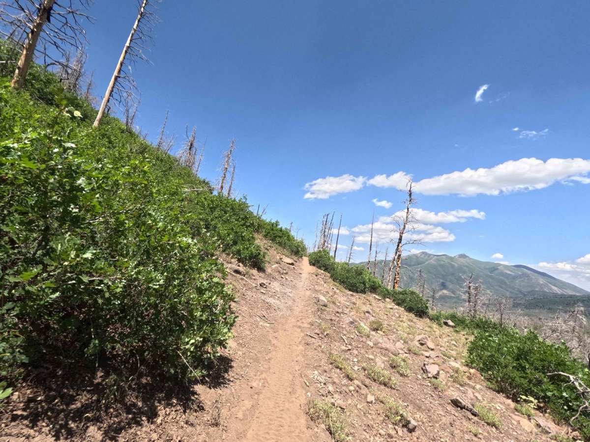 Sheepherder Hill - FS 8099 photo 4