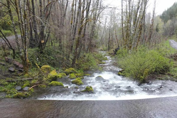 Horse Creek Road