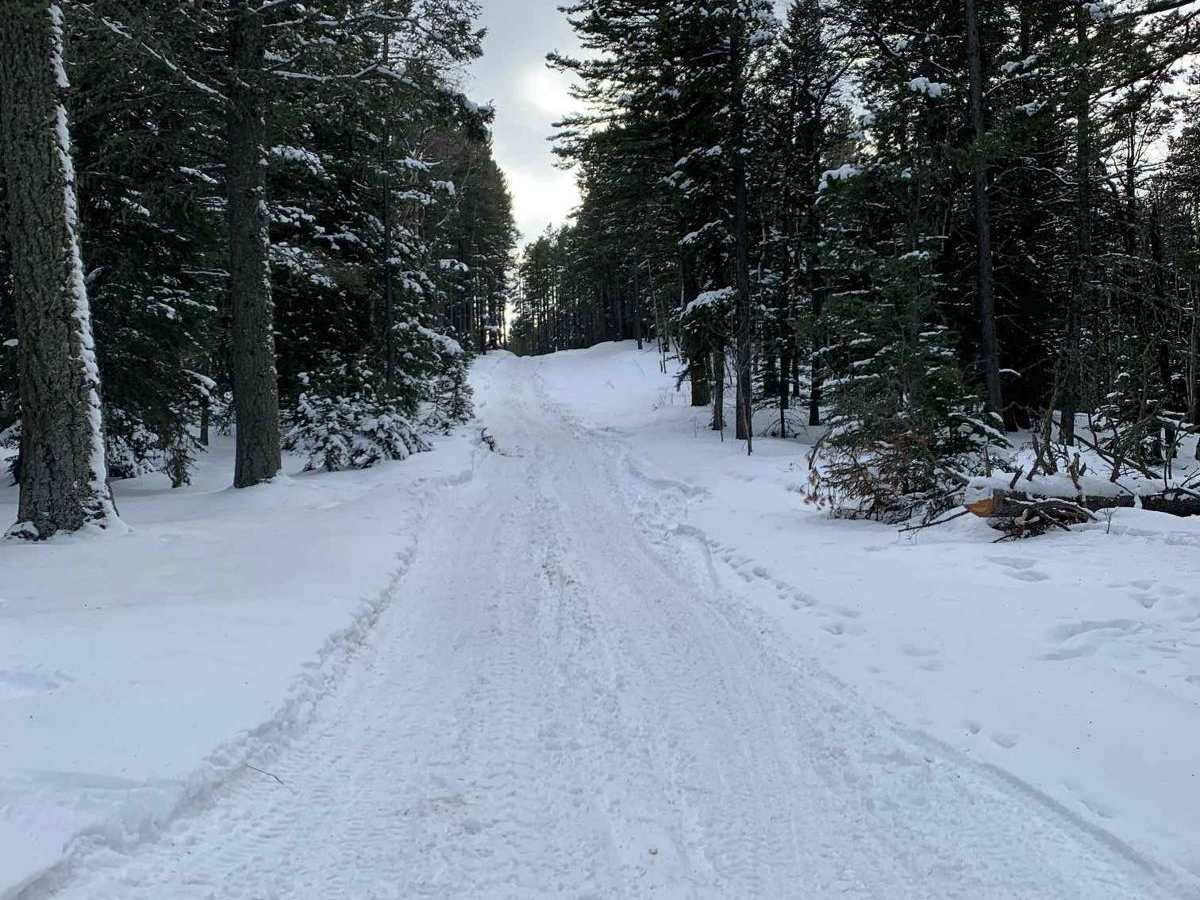 East Trout Creek Road photo 4