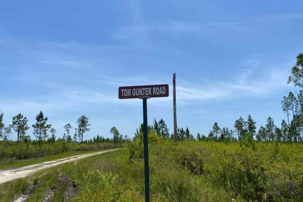 Tom Gunter Road