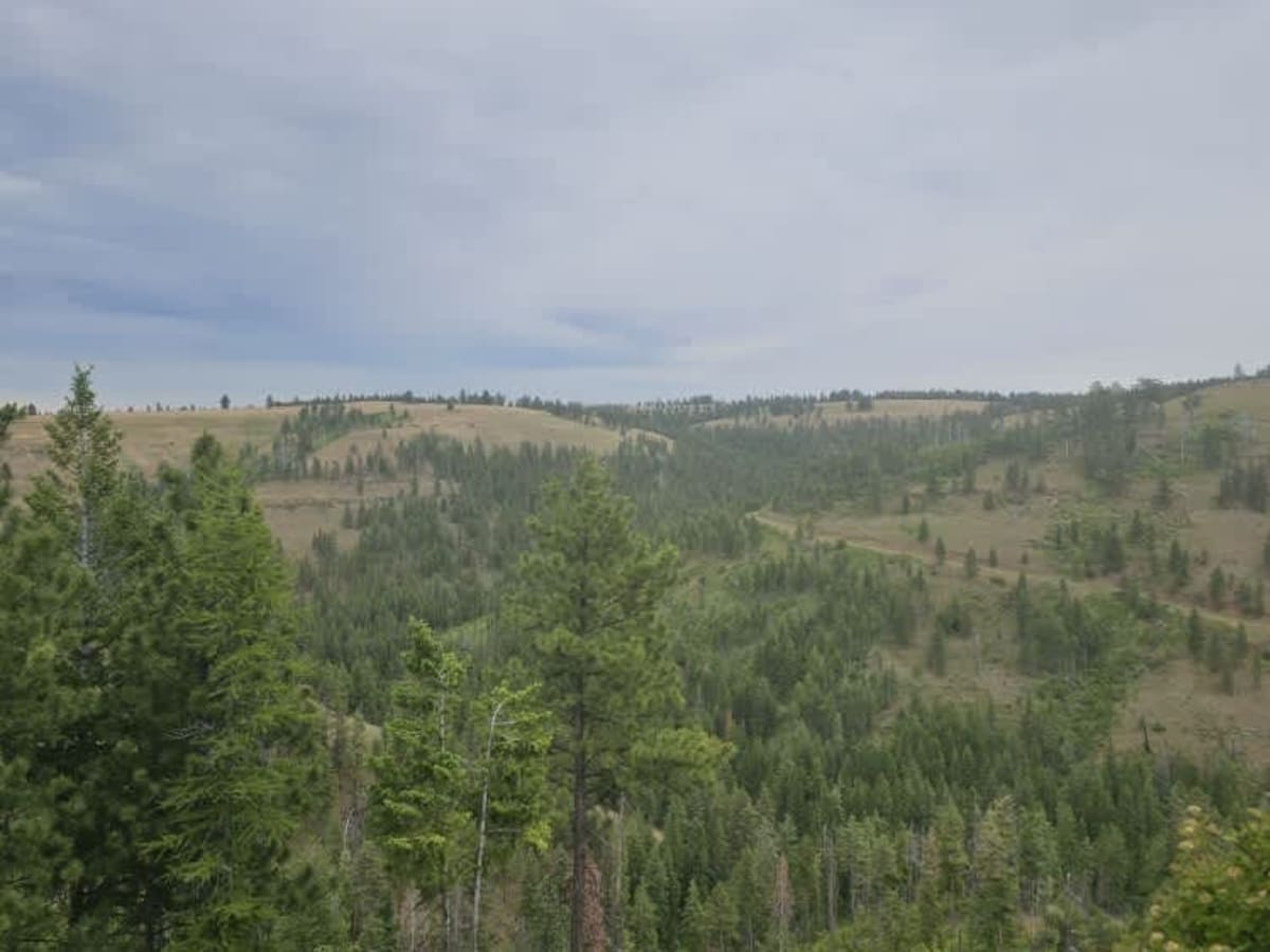 Stevens Ridge photo 3