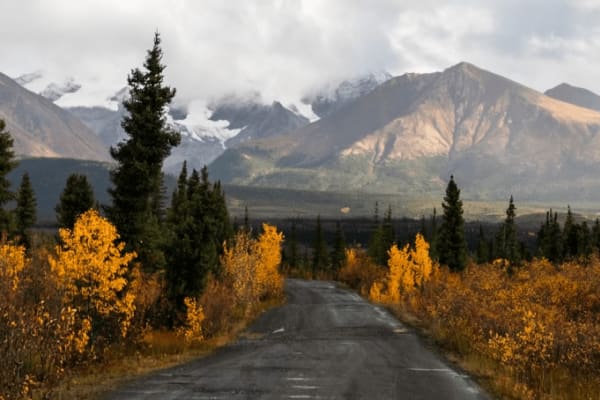 North Canol