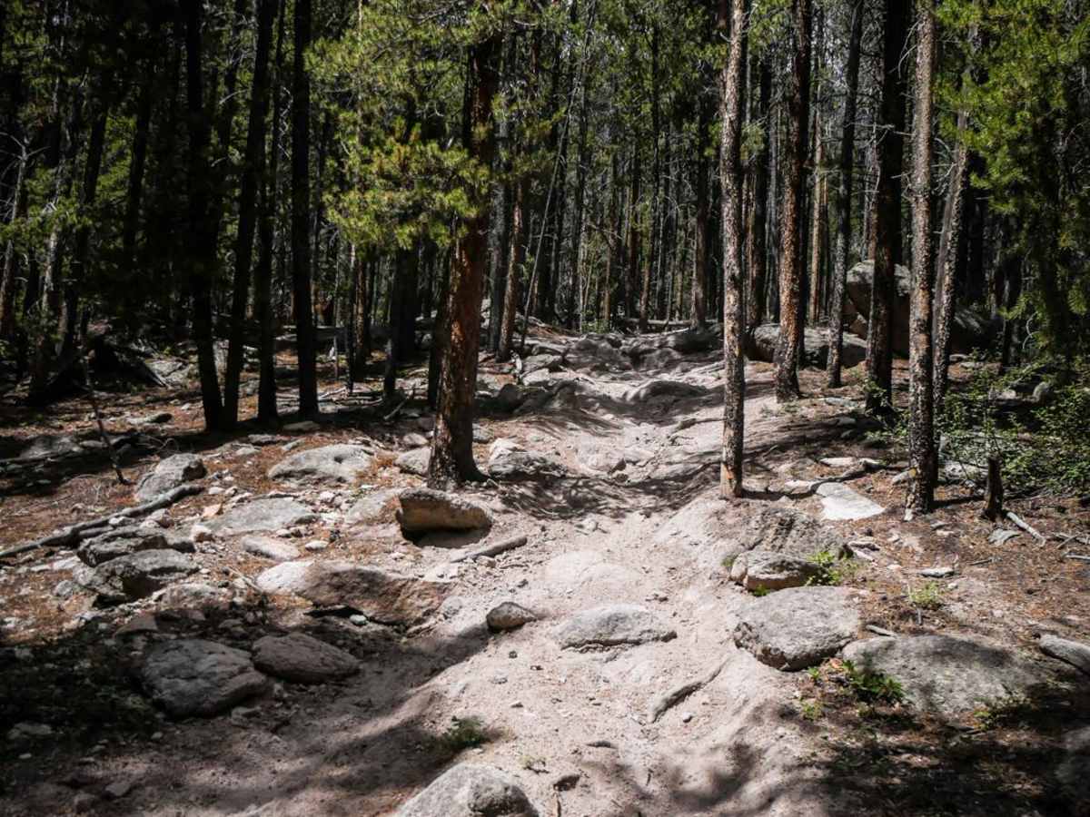 Right Hand Trail photo 3