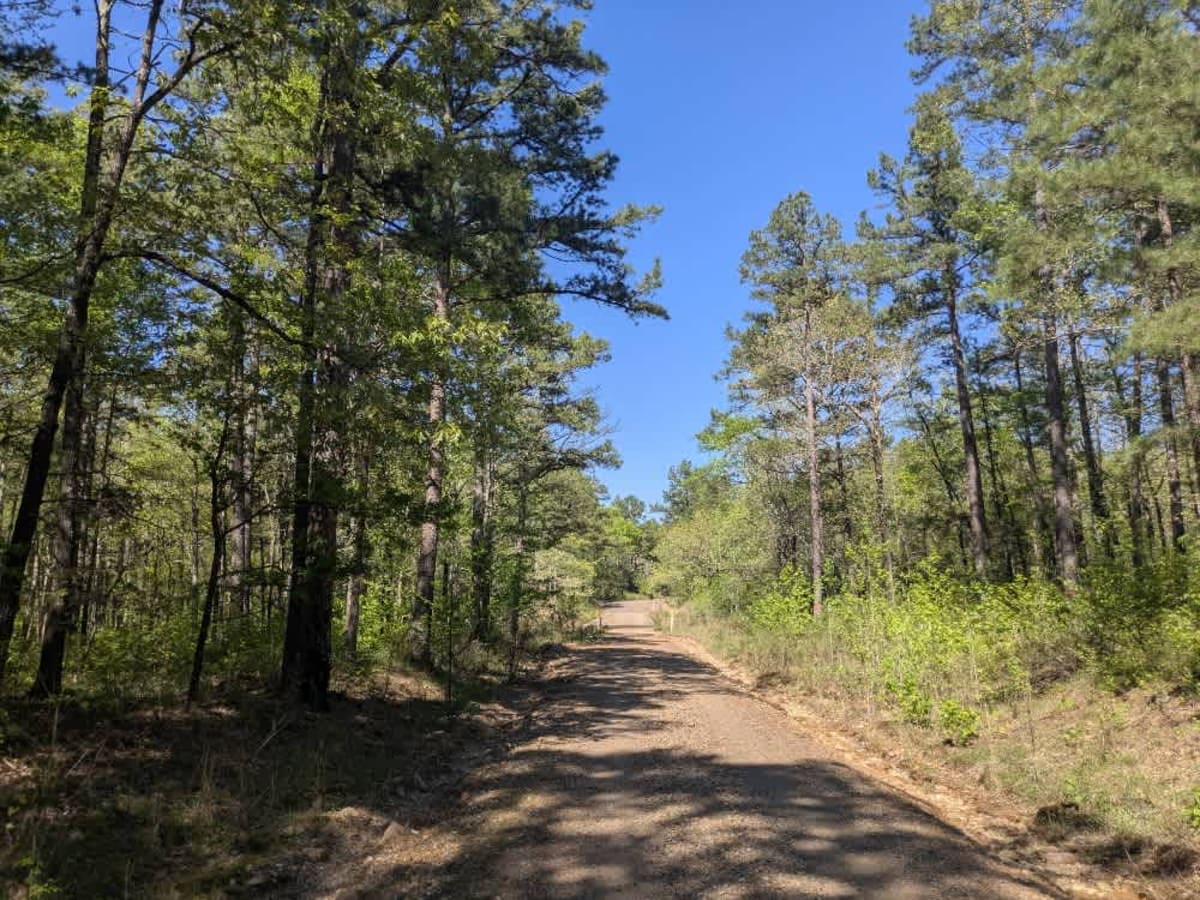 Johnson Creek Road photo 5