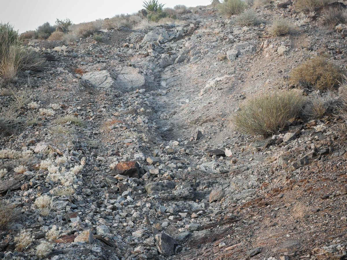 Rock Ridge Single Track photo 6