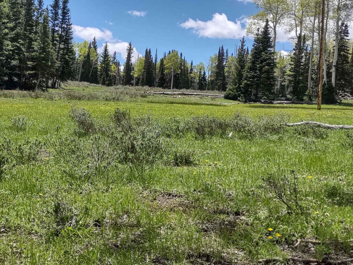 Koosharem Pasture Road Guard Station - PST44 FS41163 photo 5