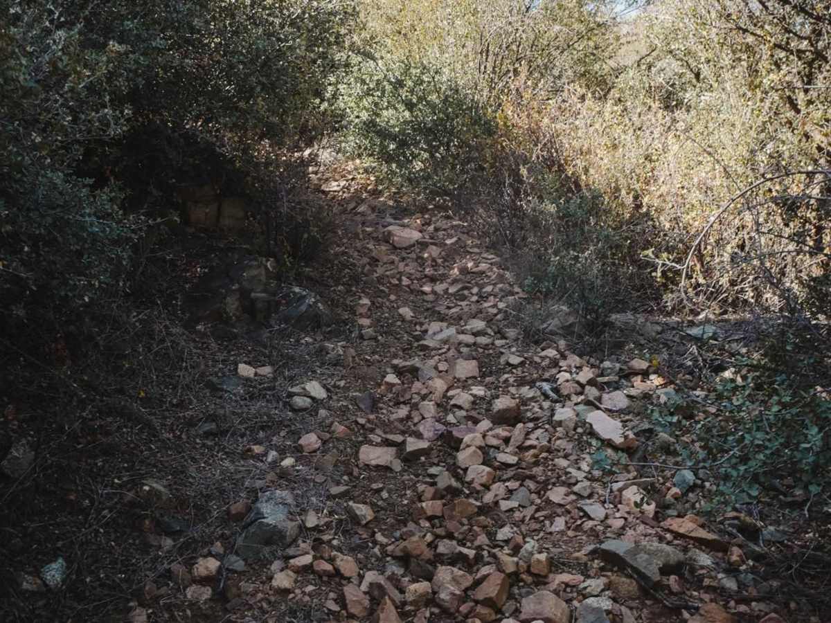 Puke Hill photo 3