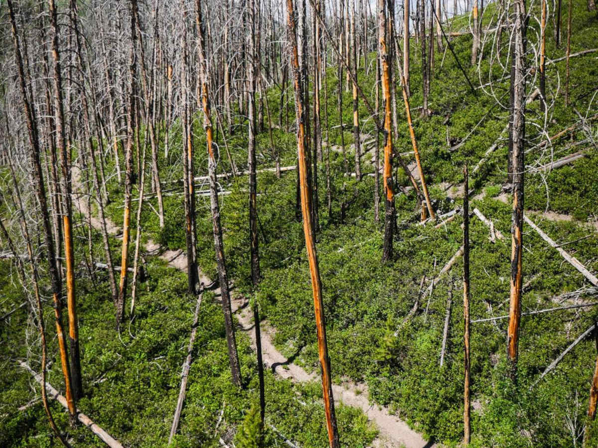 Mahoney Butte photo 5