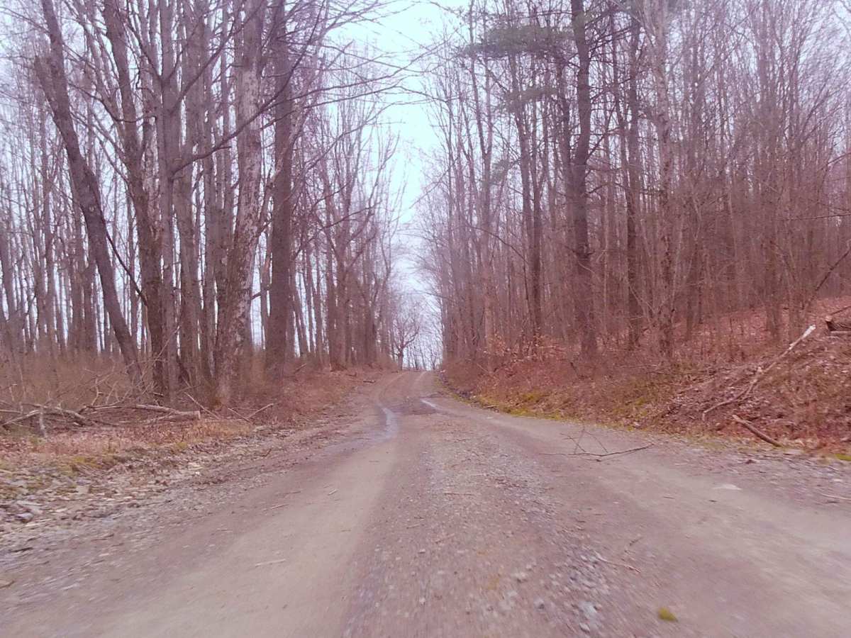 Hickey's Rocks Road trail photo