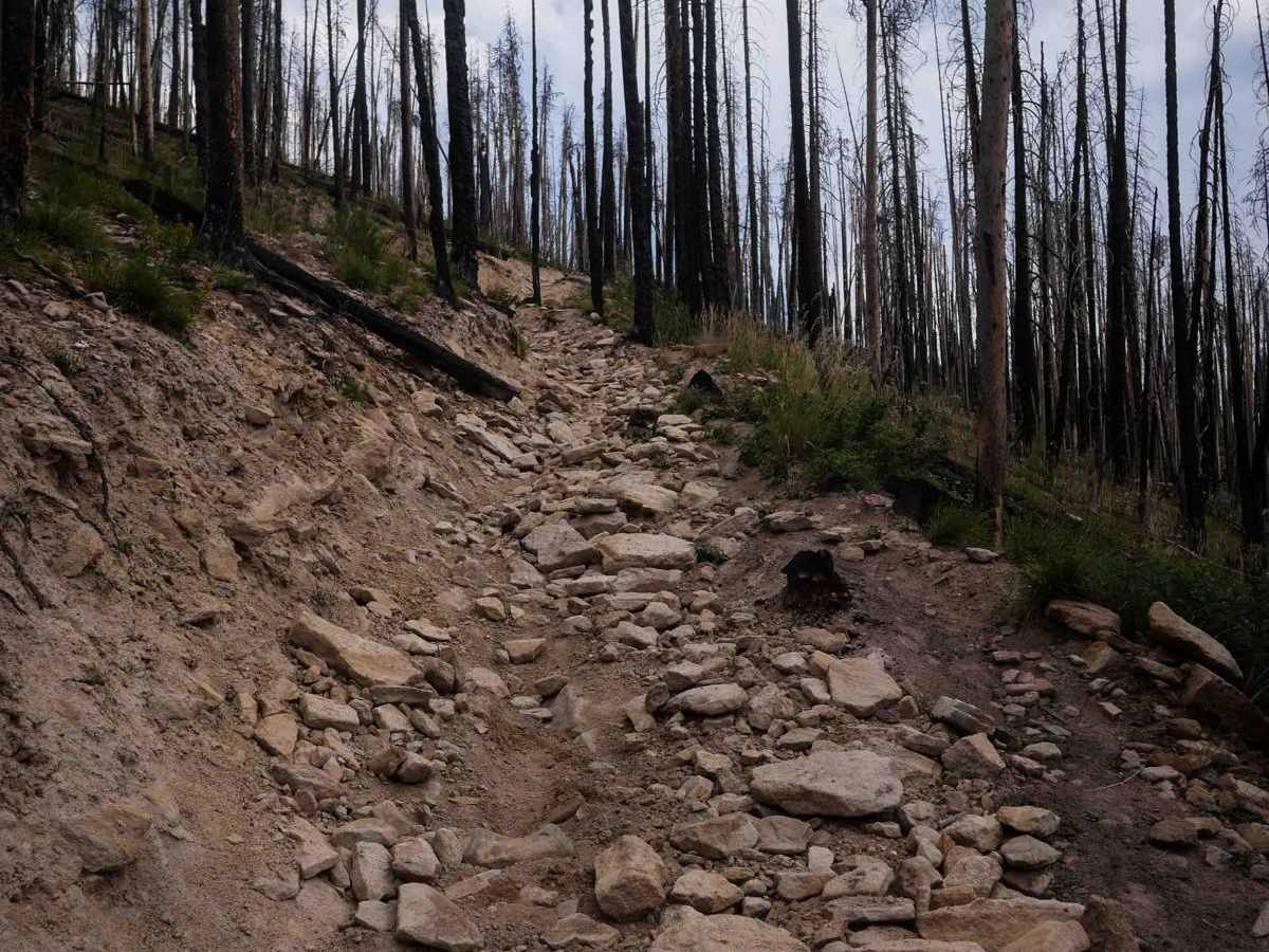 Willow Pass Trail trail photo