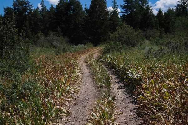 Slate Trail #3119 