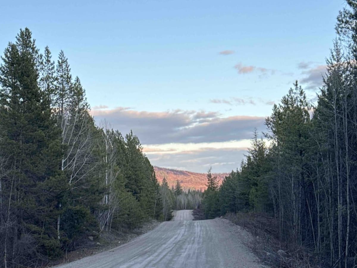 Bear Lake Main FSR photo 4