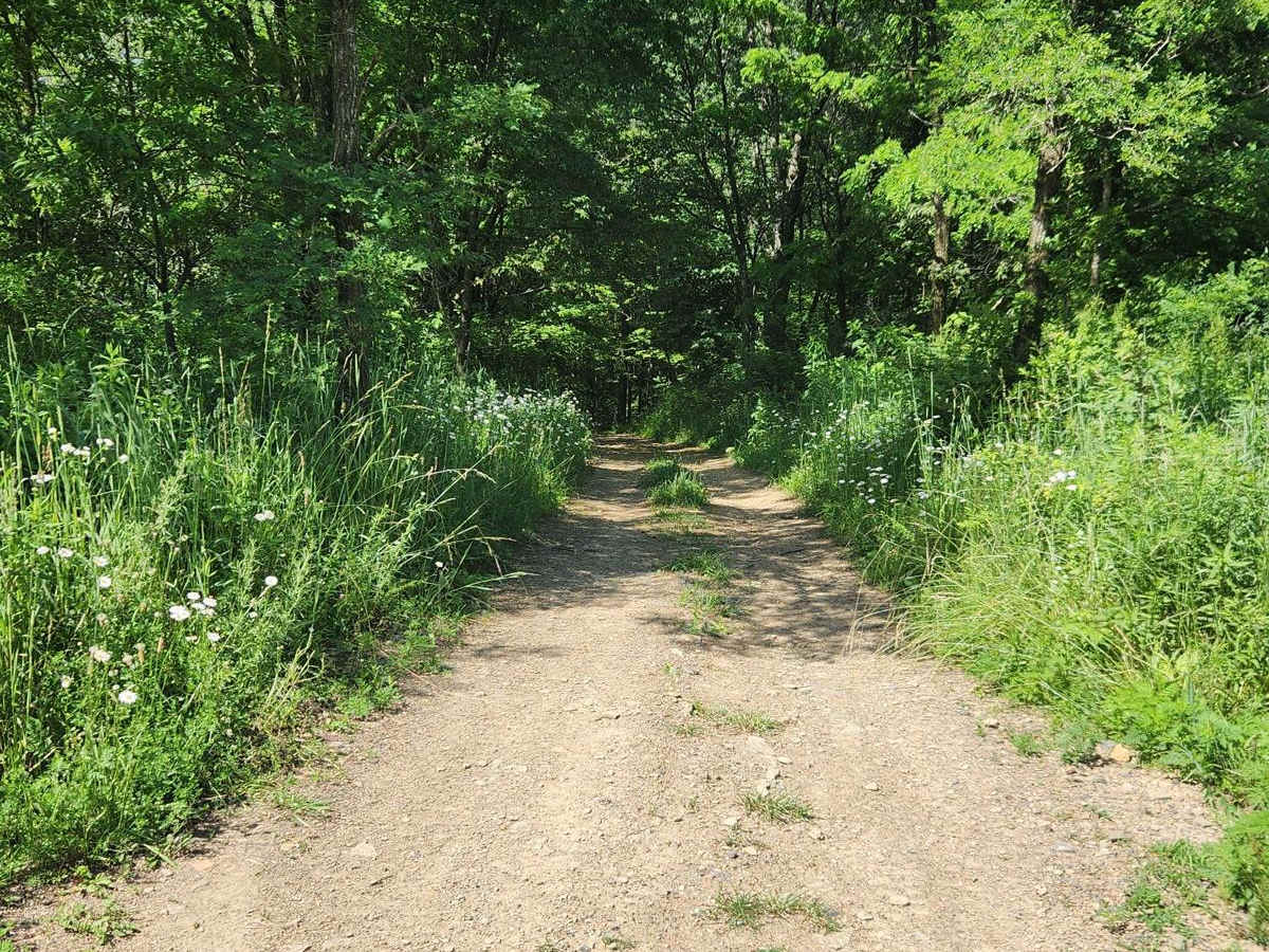 WR Road - Rock Run Recreation Area photo 2